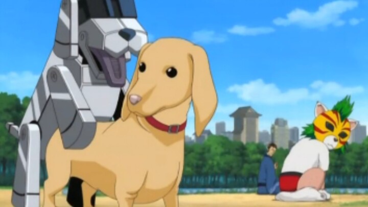 Gintama: It’s really all famous scenes (funny collection twenty-nine)