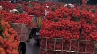 ยินดีต้อนรับสู่ซีรีส์ "ของใต้ขายไม่ออก ของเหนือกินไม่ได้"