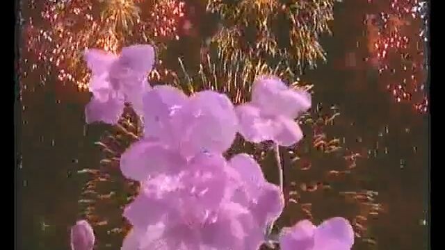 O General Kim Jong Il é meu pai