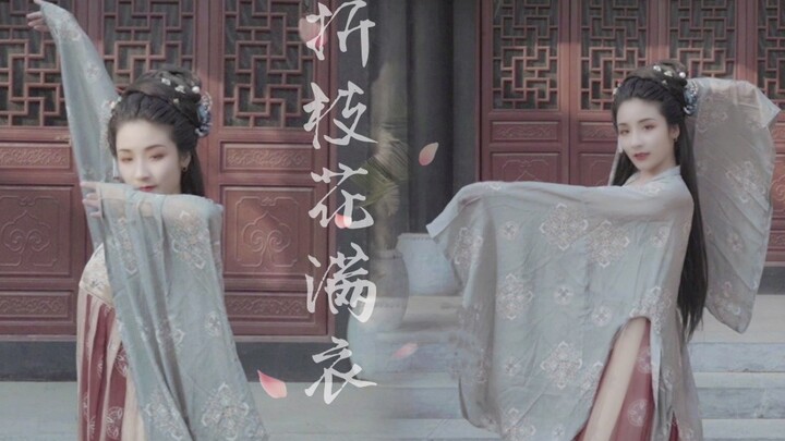 这绿罗裙可飘在了你的心上 折枝花满衣 舞蹈 浅灯