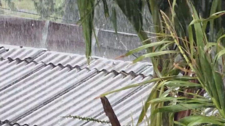 #ฝนตก