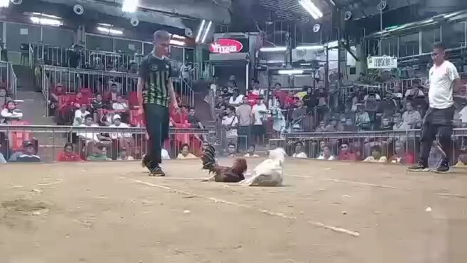 WWWWL        5 stag local band @SMC, sayang nasilat pa-champion🥲