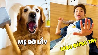 Đại Trang | Đại Trang Cho Mẹ Đăng Xuất Khỏi Trái Đất, Lý Do Cũng Chỉ Vì Miếng Ăn 🤣 Gâu Đần Official