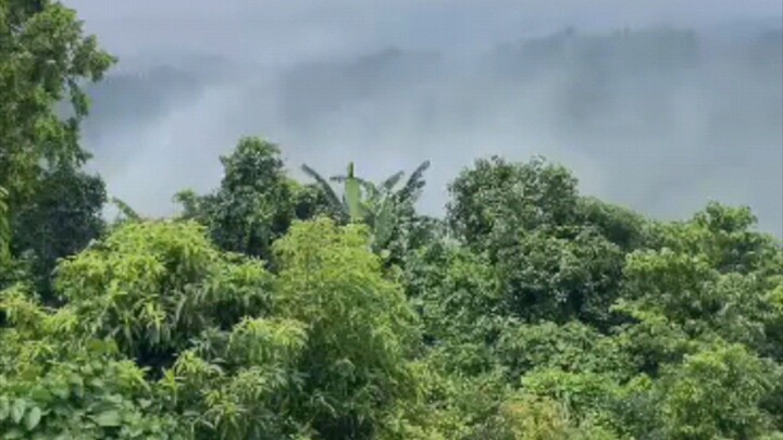 আমি তো এখনো পাইনি