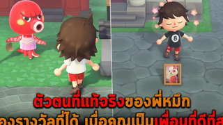 ตัวตนที่แท้จริงของพี่หมึก ของรางวัลที่ได้เมื่อคุณเป็นเพื่อนที่ดีที่สุด Animal Crossing