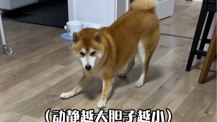 I never expected my dog to "turn the tables" on me this time.