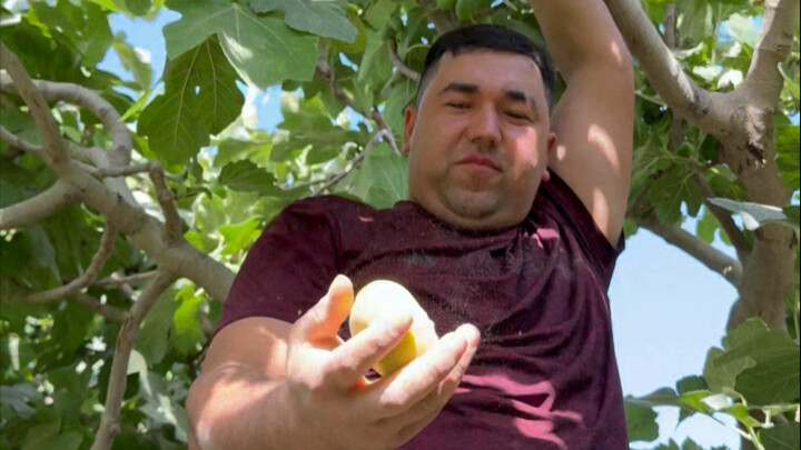 Xinjiang figs may look “like they’re asking for it,” but they’re actually stunning! #TeacherHamu