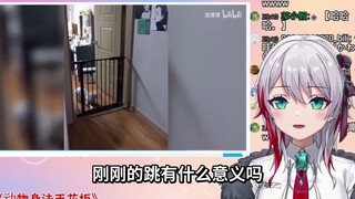 日本天然小姐姐看《动物身法天花板》