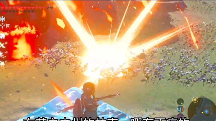 [Zelda] Drive out all the Flower Curse Ganon, leaving no one behind (2 minutes of pure Qi relief ver