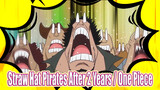 Straw Hat Pirates' First Appearence In Two Years