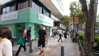 【Harajuku】Walking Through Tokyo’s Stylish & Quiet Streets｜Urban Culture Stroll【4