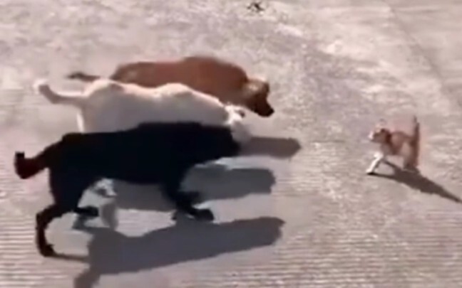 Three Heroes Battle Lü Bu