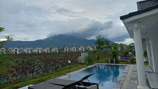 Vườn vua