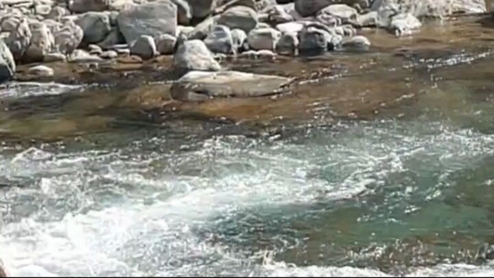 cast net fishing in Nepal |