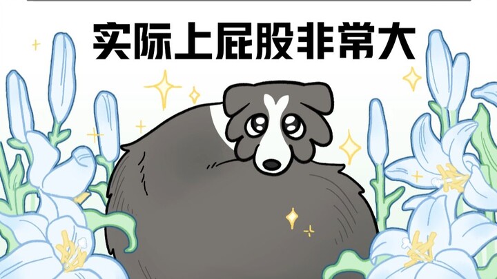 Mao Dou’s Big Butt