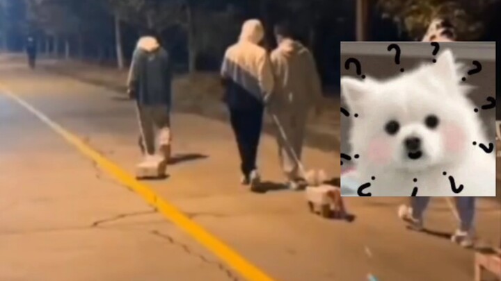 They seem to be keeping a super trendy new pet! #CampusLockdown #CollegeStudentsWalkingDogs