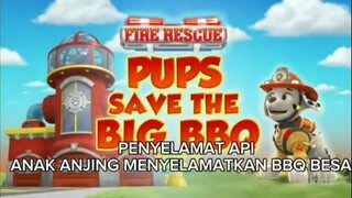 paw Patrol musim 11 Episode 18 Sub indonesia