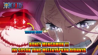 BONEY MEENGAMUK !!! INILAH SOSOK YANG MELENYAPKAN AYAHNYA