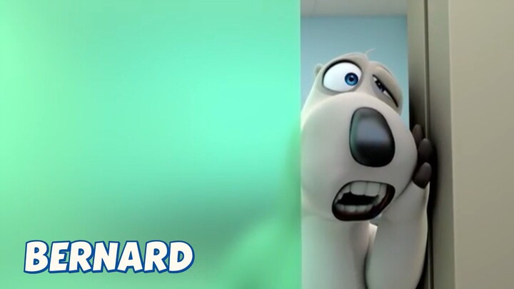 BERNARD BEAR || OH, MY TOOTH - CARTOON CHILDREN