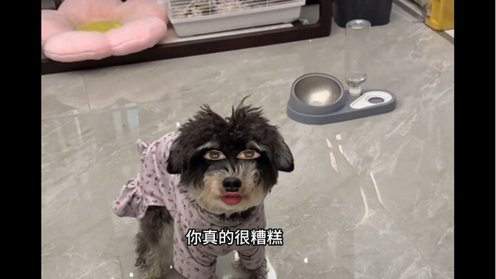 Dog: I am blessed to have you
