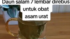 asam urat