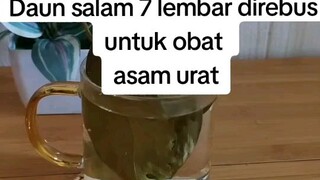 asam urat