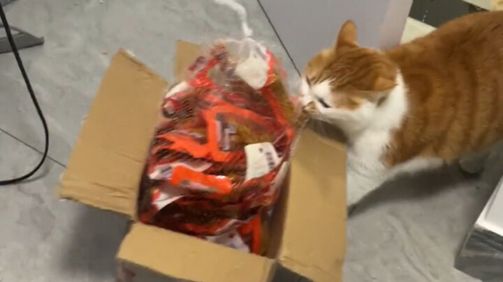 Cat: I left it there thinking no one wanted it.