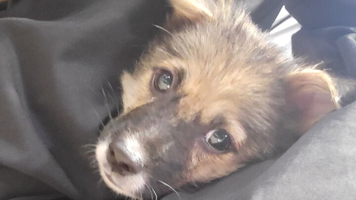 Rumahmu bagus, aku bakal numpang tinggal di sini.