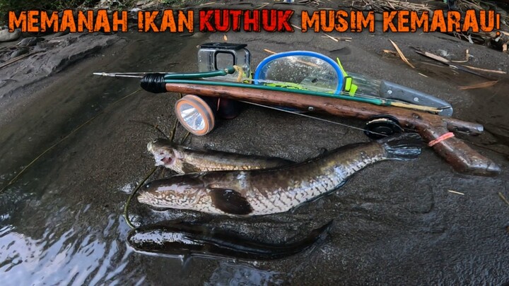 Spearfishing in the river fishing in the dry season of elnino #spearfishing #fishingadventure
