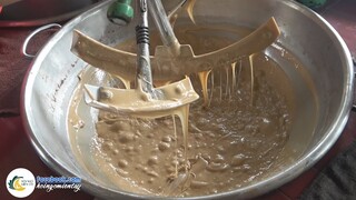 KẸO DỪA BẾN TRE Thơm Béo Khó Cưỡng | Hội Ngộ Miền Tây - Tập 446