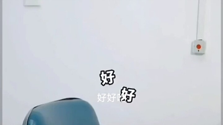 She’s been laughing at me this whole time—she never stops.