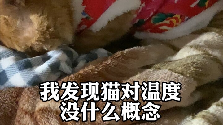 Cứ nướng lửa này đi, nướng xong là im thin thít luôn.