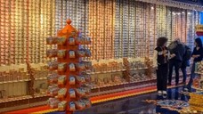 Senhoras e senhores, meninos e meninas, sejam bem-vindos ao Mundo Fantástico da Sardinha Portuguesa!