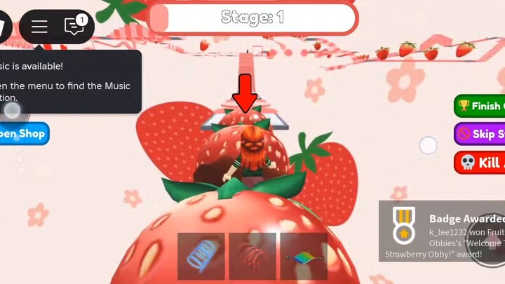 Roblox with tiktok