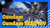 Gundam| Gundam SEED MV_2