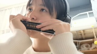 “Suy nghĩ xuyên thời gian và không gian” Ngày thứ 106 học kèn harmonica