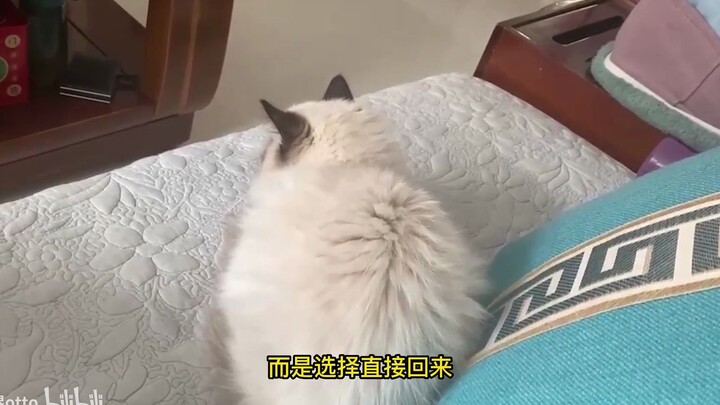 【Dian Gewen Otto】Kenapa Ahli Pedang Tidak Pernah Salah?