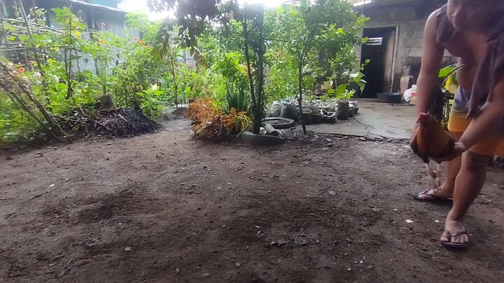 7 month old first time spar