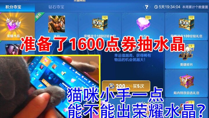 I’ve saved up 1,600 vouchers to try my luck at the Crystal Draw—will a little paw-tap from the kitty