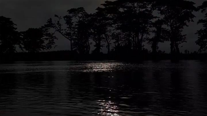 #Bangladesh #Fyp