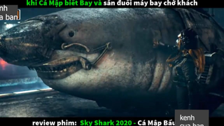 cá mập bay p3 #kenhcuaban