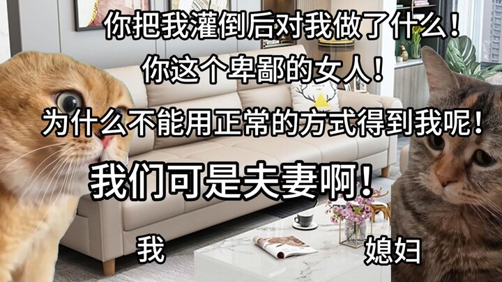 【猫meme】我昨晚都干了什么！（抱头）