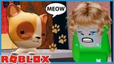 Roblox EXTREME Hide And Seek With My Cats