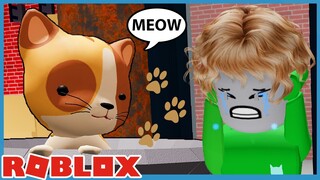 Roblox EXTREME Hide And Seek With My Cats