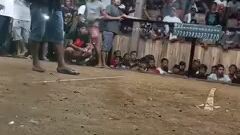 championship bout our very own sweater high action hatch