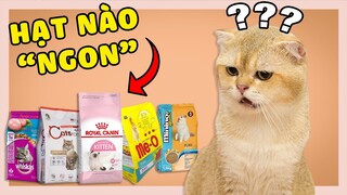 MÈO THÍCH LOẠI HẠT NÀO NHẤT | The Happy Pets #95