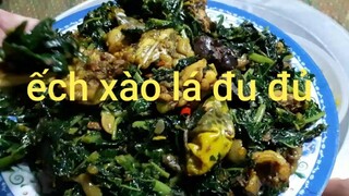 Ẩm thực Biển. Ếch xào lá đu đủ .món ăn có một không hai.