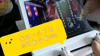 【欧气小柴的抽卡记录-第二弹在主页更新啦！】仅剩的一张黑符，狗子抽到了SSR！