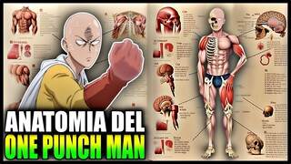 ANATOMIA DE SAITAMA EL ONE PUNCH MAN EL PERSONAJE DE ANIME CON MÁS POTENCIAL