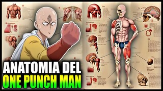 ANATOMIA DE SAITAMA EL ONE PUNCH MAN EL PERSONAJE DE ANIME CON MÁS POTENCIAL